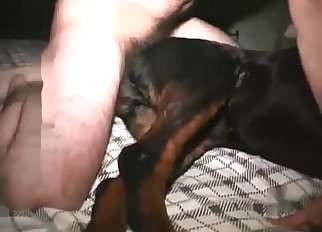 Puppy is fucking with a dirty as fuck male