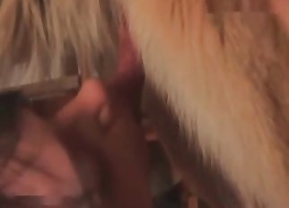 Busty whore is playing with a massive dog