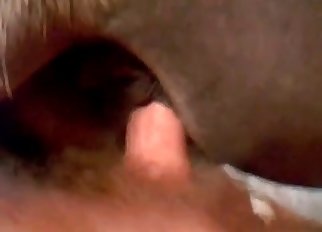 Anal penetration in the zoophile style