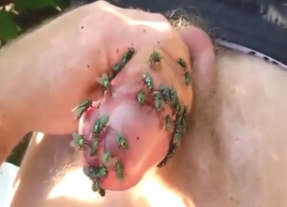 Dude is happy to flaunt his fly-covered cock