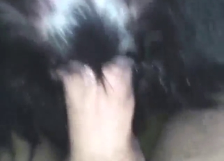 Guy just cannot stop fucking that animal deep