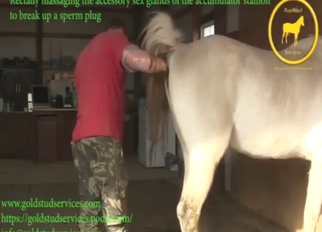 Mare with a hot pussy wants to get fisted