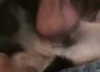 She finds that her dog's dick is the best thing