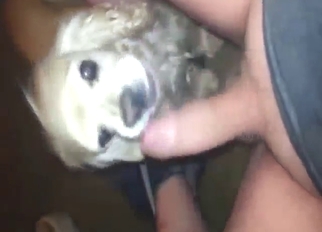 Dog sucks that dick and gets off with a guy