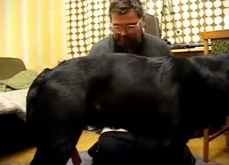 Guy with a meaty ass is going to fuck a dog