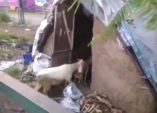 อสูรกาย