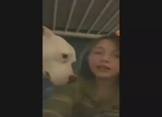 Zoo porn with an adorable teen who gets licked