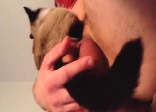 Sexy cat meowing while on top of his hard cock