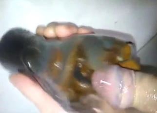 Slug fucker dude is going to fuck living things