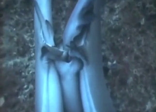 Jawesome sex scene with two horny sharks