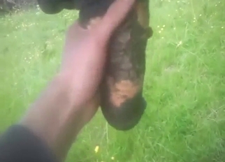 Bestiality sex starts off with a nice handjob