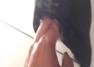 Zoo sex with fingering, hot animal is moaning