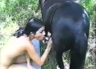 Zoo porn with a sexy brunette who blows a horse