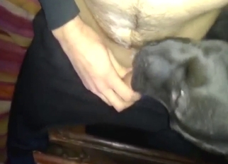 Bestiality sex shows a sexy animal licking him
