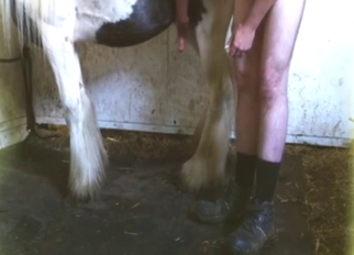 Bestiality sex with a fatso who has a tight bum