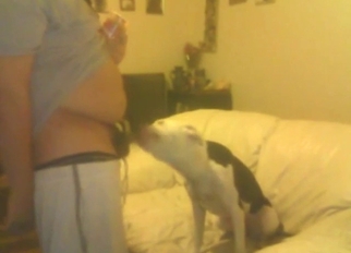 Zoophile porn with a dog licking the tip of his D