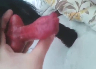 Bestiality sex with HJs, one of the hottest vids