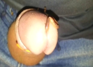 Zoophile porn with a worm that looks pretty hot