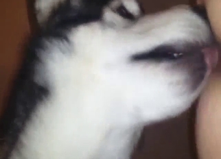 White beast is going to get off with hard sex