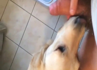 Penis pleasure session with a guy and his GR