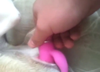 Dog porn movie with a beast licking pussy