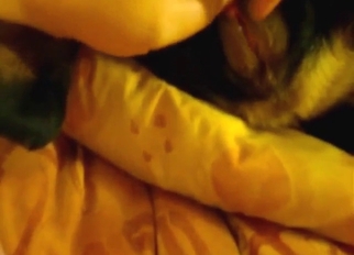 POV tease session with a sexy animal in POV