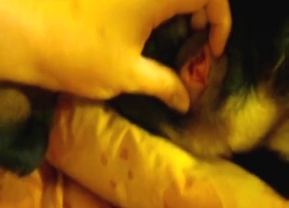 POV tease session with a sexy animal in POV