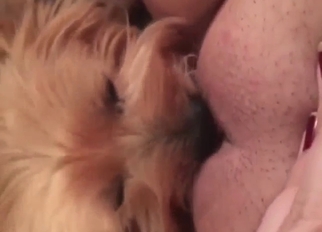 Dog licks that pussy to make her so, so happy