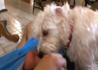 Sexy animal licking ALL over his penis in POV