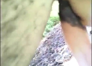 Horse penis masturbation session with a dude