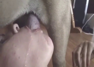 Slutty zoophile sucking a dog's nice cock