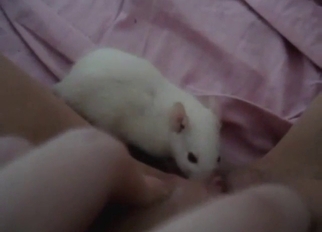 Horny zoophile has a rat that wants inside her vag