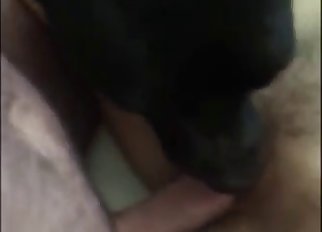 The lusty female is addicted to bestiality