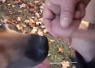 Fucking black dog ass in POV close-up
