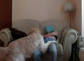 Filthy dog fucking the owner on cam