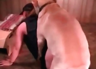 Amateur animal porn in HQ