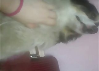 Lady