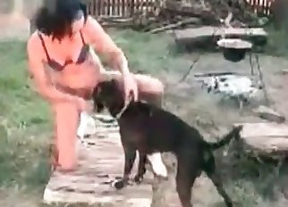 Animal dick enjoying some action